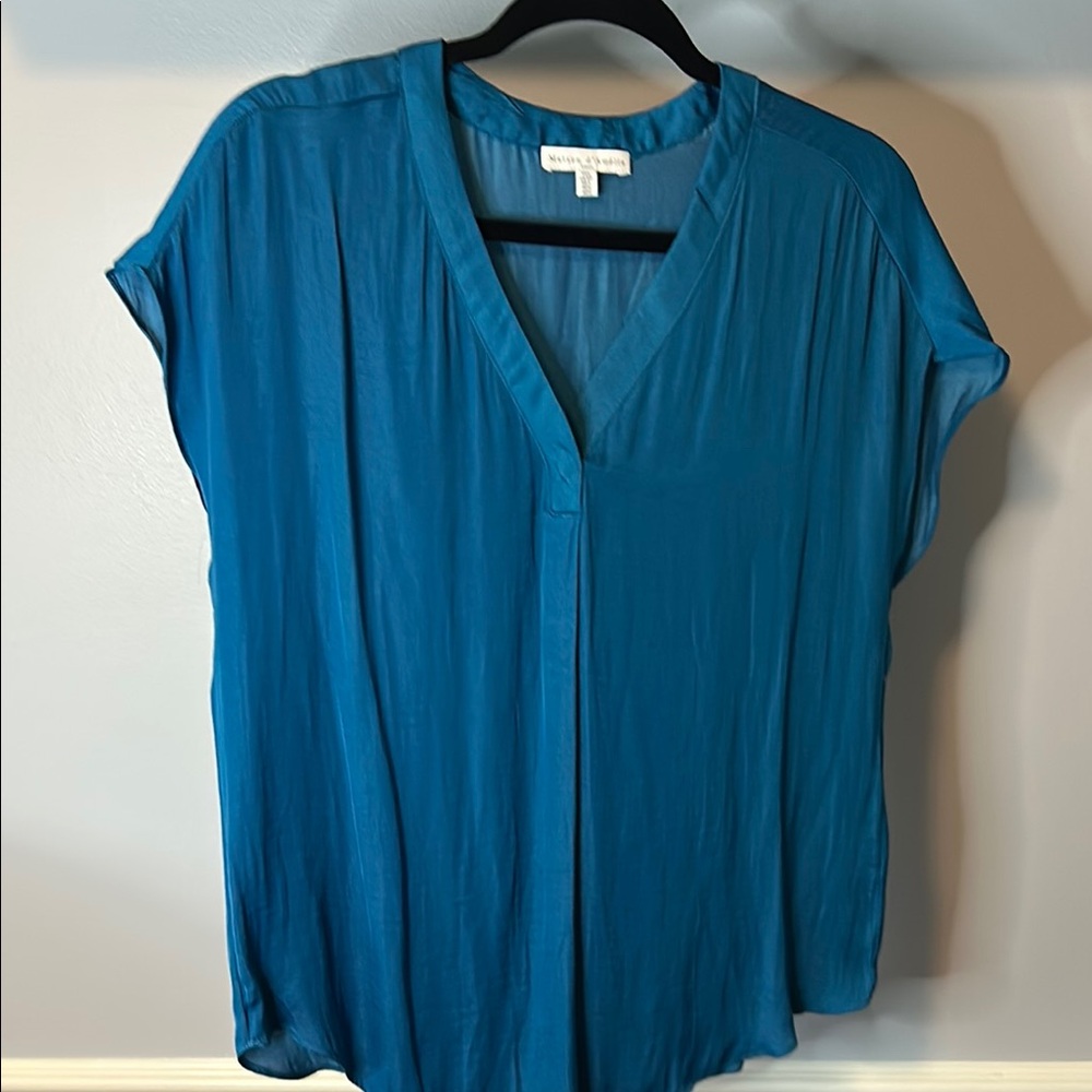 Turquoise Blue Relaxed V-Neck Blouse